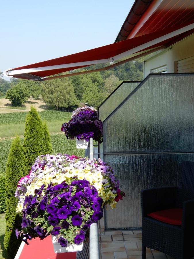 Hotel Kurallee Meersburg Kültér fotó